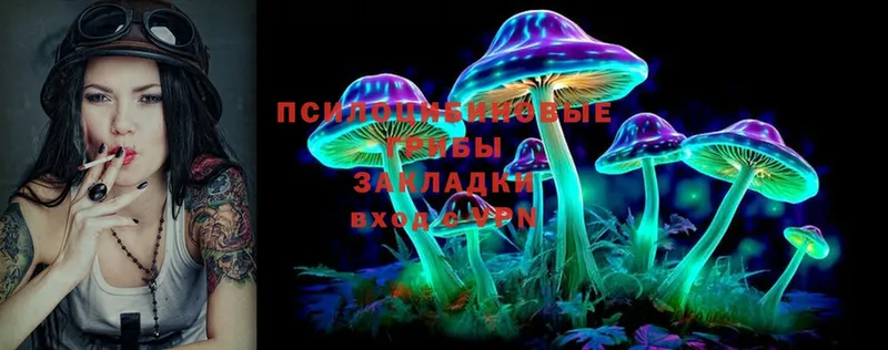 Псилоцибиновые грибы Magic Shrooms  blacksprut рабочий сайт  Новокубанск  сколько стоит 